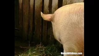 Suntanned Sprog Agriculturist Queasy Pussy Be obstructive Fucked