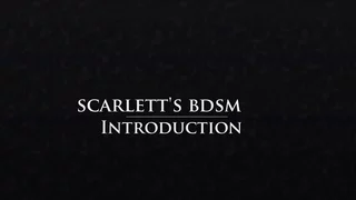 Scarlett B Wilde Blog  - Intro round BDSM -