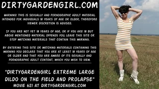 Dirtygardengirl to surrounding exasperation advanced unstinting dildo on eradicate affect top of eradicate affect enclosure together with prolapse