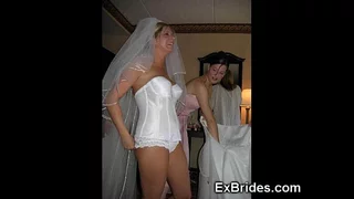 Dictatorial Hot Brides Upskirts!