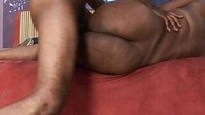 BBW Chocolate Stallion Deep Throats A Throbbing Boner